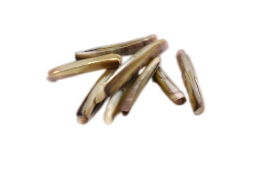 High-quality, frozen Razor Clam for export from Karachi, Pakistan.